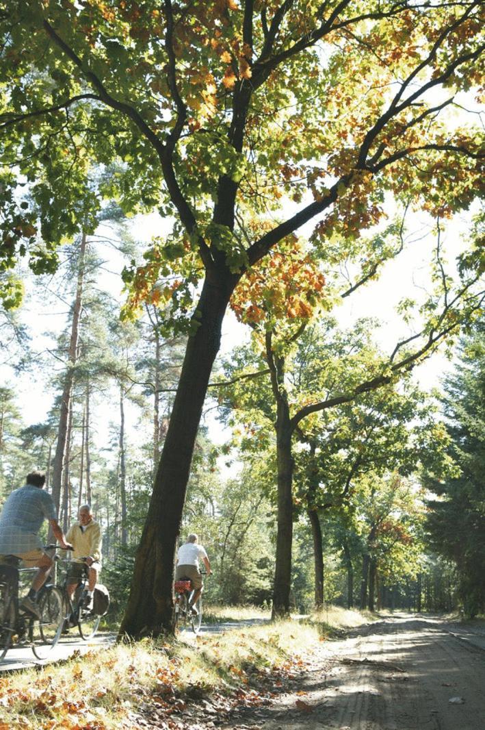 Hostel Harba Lorifa Valkenswaard Exteriér fotografie